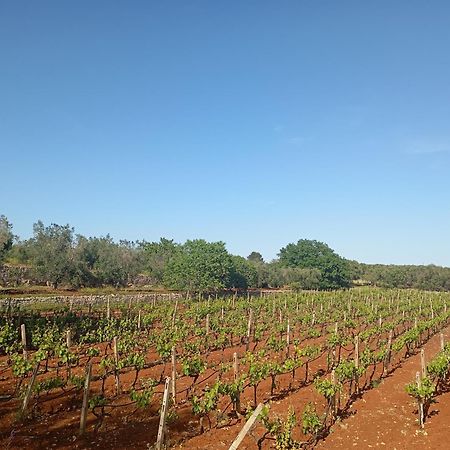 Masseria Le Betulle San Vito dei Normanni Exteriör bild