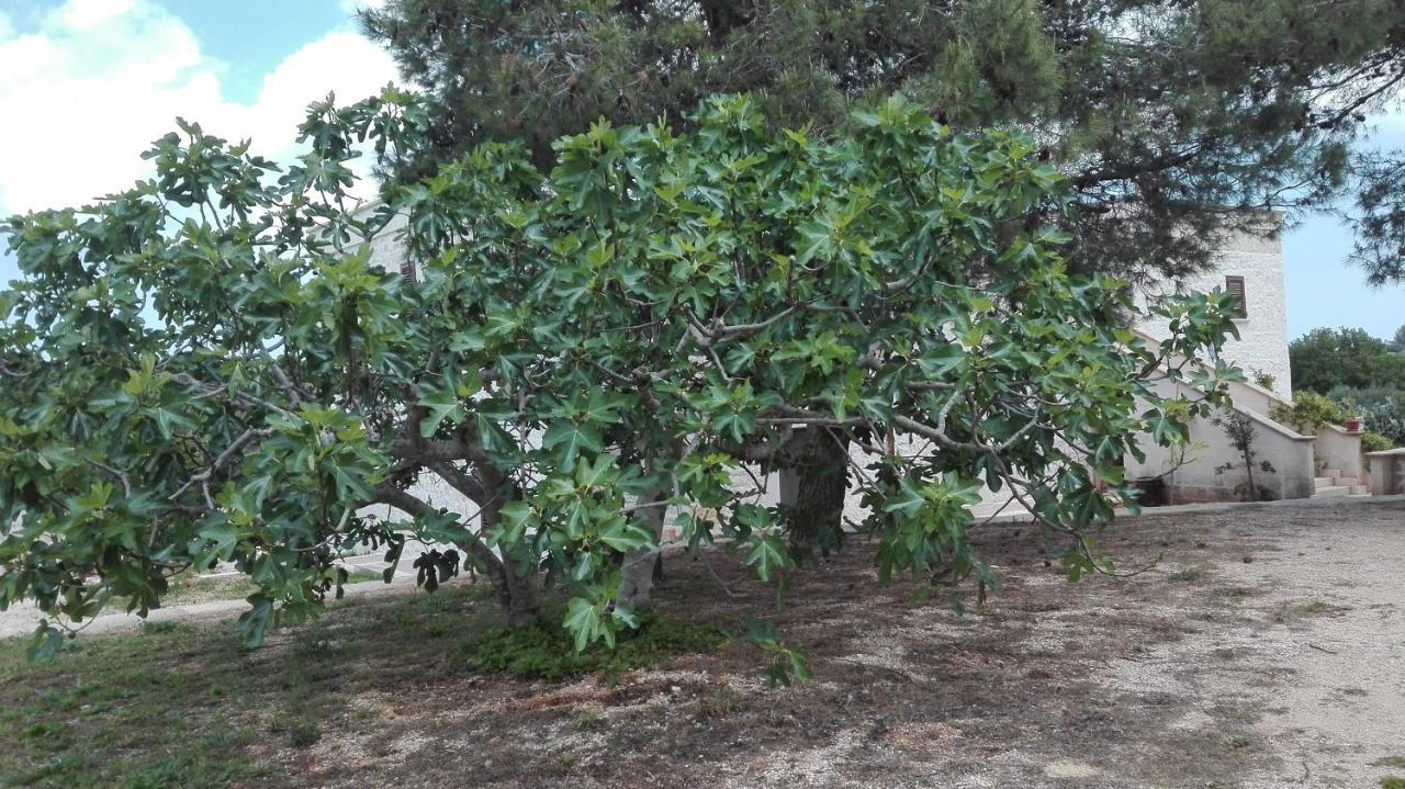 Masseria Le Betulle San Vito dei Normanni Exteriör bild